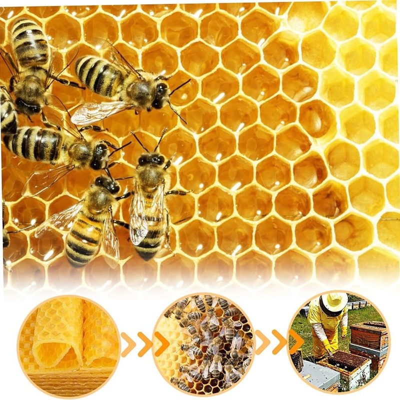 Beeswax Sheets 10Pcs Beeswax Foundation Sheets Wax Foundation for Bee