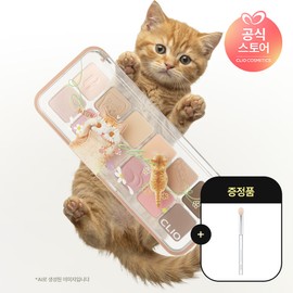 Clio Pro Eye Palette Air / 클리오 프로 아이 팔레트 에어