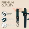 Pawereen Dog Leash, Eco-Friendly Recycled Polyester Webbing | Soft Hypoallergenic,