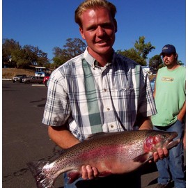 2 3/4" DDT Lipless Crankbait for Bass Fishing Lure Vibe Trap Crank Bait Lifelike Bait Sink (Baby BASS)