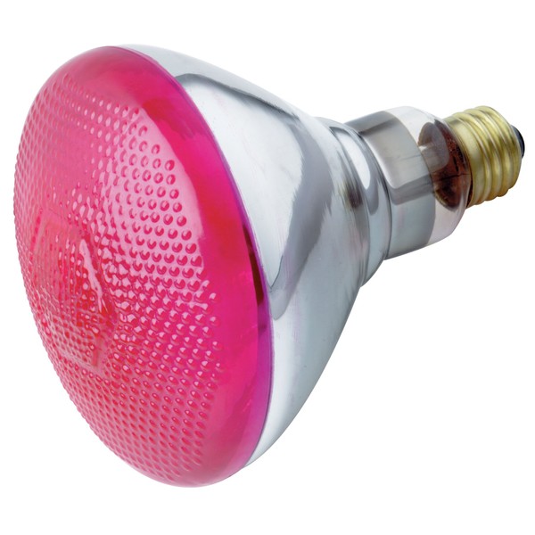 Satco S4429 100 Watt BR38 Incandescent 120 Volt Medium Base Light Bulb, Pink