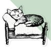 Medium 100mm 'Cute Kitten Sleeping' Transparent/Clear Sticker Decal for Windows/Cars/Walls
