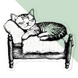 Medium 100mm 'Cute Kitten Sleeping' Transparent/Clear Sticker Decal for Windows/Cars/Walls (DC00134913)