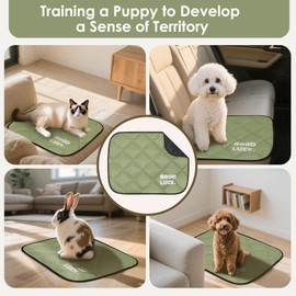 Washable Dog Training Pads - Reusable Puppy Pads 60x45 cm, Moisture & Waterproof Pet Mat, Fast Drying, Scratch Resistant for Dogs & Cats (Army Green, 1 Pack)