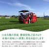 Shizuoka Prefecture Makinohara First Picked Tea 100% Green Tea Leaf