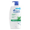 Head & Shoulders Anti-Dandruff Shampoo (Cool Menthol and Energizes Scalp)