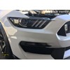 Luxe Auto Concepts Front Blinker Tint Kit for 2015-17 Ford