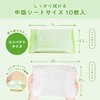 LEC Pocket Etiquette Portable Shower Sheet with Body Soap, 10