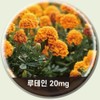 Lutein Effects Astaxanthin Effects of Astaxanthin / 루테인효능 아스타잔틴 아스타잔틴효능