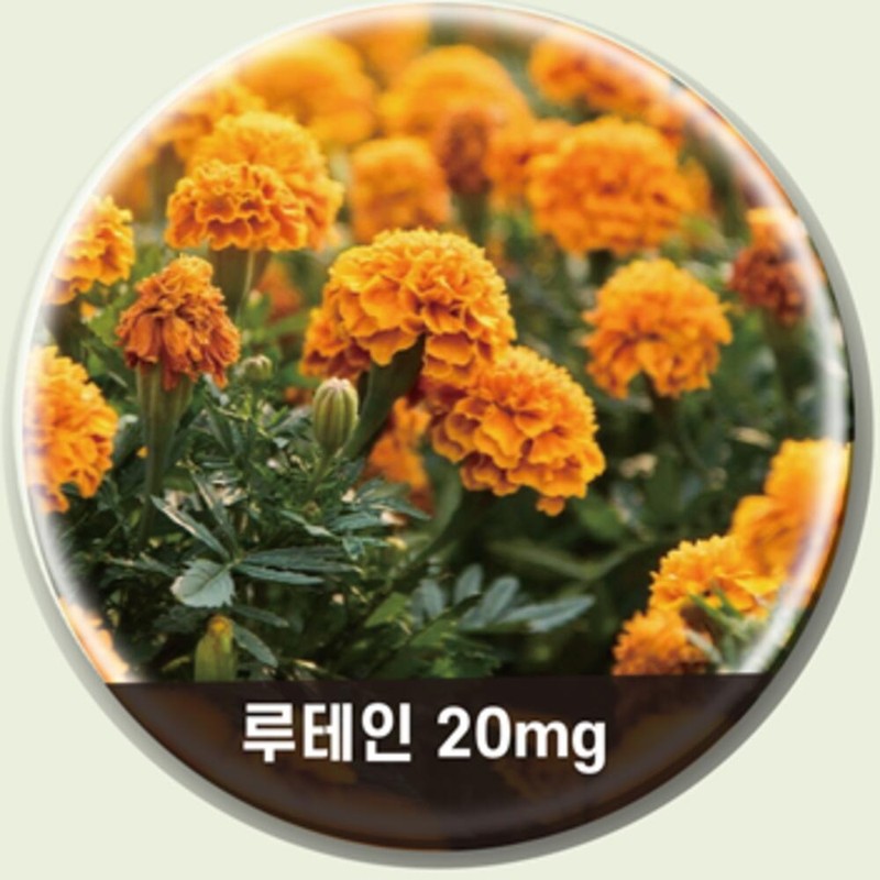 Lutein Effects Astaxanthin Effects of Astaxanthin / 루테인효능 아스타잔틴 아스타잔틴효능
