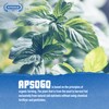 Apsogo Spearmint - Dried Organic Spearmint from Greece - Premium