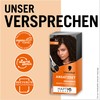 Schwarzkopf Root Set A4 Dark Brown Level 3 (3 x