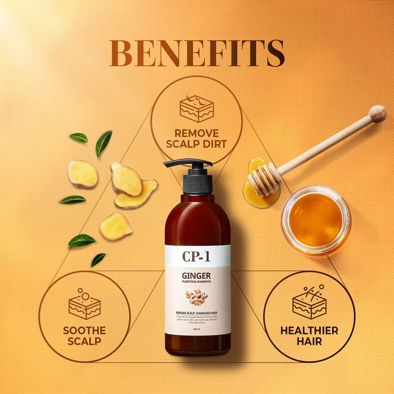 CP-1 GINGER PURIFYING SHAMPOO, Recovery Strengthening care, Scalp care, 16.9