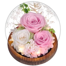 Gift for Woman Forever Flower for Delivery Prime Unique Preserved Flower Fresh Bouquet Pink Roses Birthday Gift for Her, Wife, Mom, Grandma, Wife, Valentine’s Day Gift, Home Decor Gifts