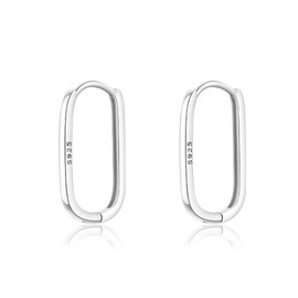 HUGE TOMATO Earrings 925 Silver for Women, Hoop Earrings Silver 925 Earrings for Women Earrings Hanging Earrings Silver 925, Sterling Silver, No Gemstone