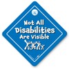 Not All Disabilities Are Visible Car Sign, Disabled Driver Suction