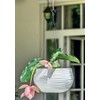 MELTOM Hanging Basket Flower Pot Removable Insert Round Waves 3D