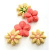 Norpro 3299 S/S Cookie/Icing Press with Case