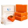Persimmon Soap 3 Pack with Foaming Bag – Body Odor