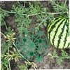 BESPORTBLE 5pcs Reusable Watermelon Holder Trellis for Garden Support Durable
