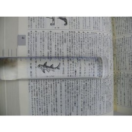 Con Tech [mafylass Loupe Collection Through Series] Whole Loupe