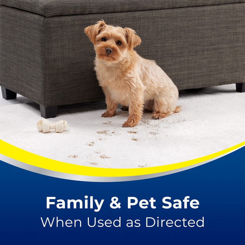 Woolite Advantage Pet Urine Eliminator, 44 Fl Oz, Pack of