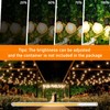 Abeja G40 LED Globe String Lights, 25Ft Outdoor Frosted Patio