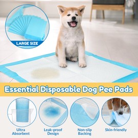 Barpor Puppy Training Pads 20 Pack - Large Dog Training Pads 60x60cm Super Absorbent Leak-Proof Anti-Slip Heavy Duty, 5-Layer Design with Quick Dry Surface