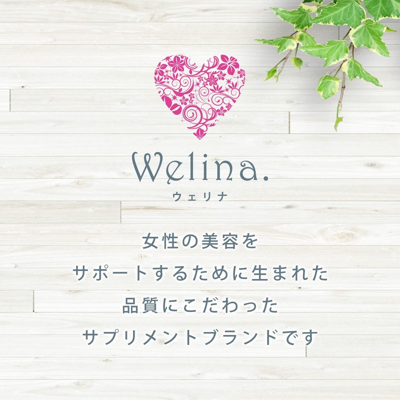 [Welina.] 森拓郎監修 マルチビタミン&ミネラル 女性向け ビタミン剤 飲みやすい 自然由来 100%天然 低カロリー(12粒/日 30日分)