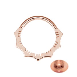 MissNity - Anillos de acero quirúrgico 316L con bisagras de 16G para septum, daith y cartílago, piercings de lóbulo de la oreja, diámetro 8 mm, 10 mm, Acero inoxidable, No es una piedra preciosa