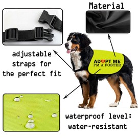 CENWA Adopt I’m A Foster Jacket Vest Adopt Dog Jacket Vest New Puppy Dog (I'm A Foster M)