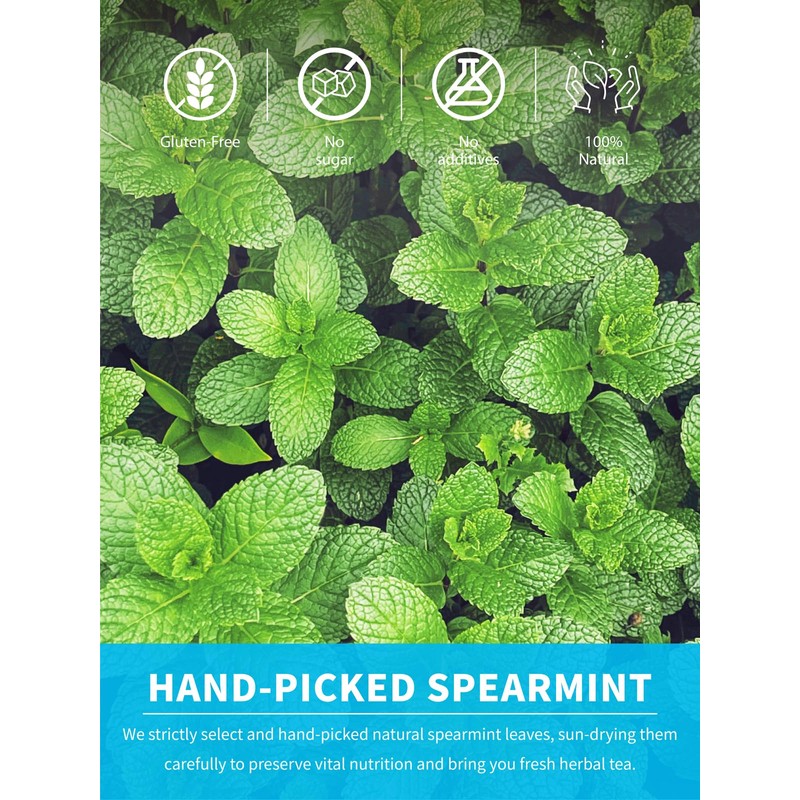 TeeLux Spearmint Tea Bags 100 Count, 100% Pure Spearmint Leaf,