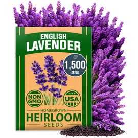 HOME GROWN Premium English Lavender Seeds, 1500 Non-GMO Herb Seeds, USA-Sourced Wildflower Seed for Planting Indoor/Outdoor, High Germination, Plant Flower Seeds (Lavandula antustifolia)