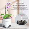Meshpot Double Layer Plastic Imitate Ceramic Orchid Planter, Set of