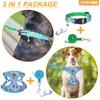 BEAUTYZOO Dog Harness Collar and Leash Set, No Pull Step