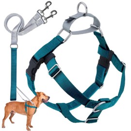 2 Hounds Design Freedom No Pull Dog Harness, Adjustable Harness and Leash Set, Easy Walking & Comfortable Control, Fits Small, Medium & Large Dogs, Solid Colors, Made in USA, 1" XL, Teal