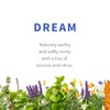 Dream Herbal Tea | Sacred Blossom Farm | 1.9 oz.