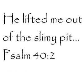 Tapestry Of Truth - Psalm 40:2 - TOT8247 - Wall and Home Scripture, Lettering, Quotes, Images, Stickers, Decals, Art, and More! - He Lifted me Out of The Slimy Pit... Psalm 40:2