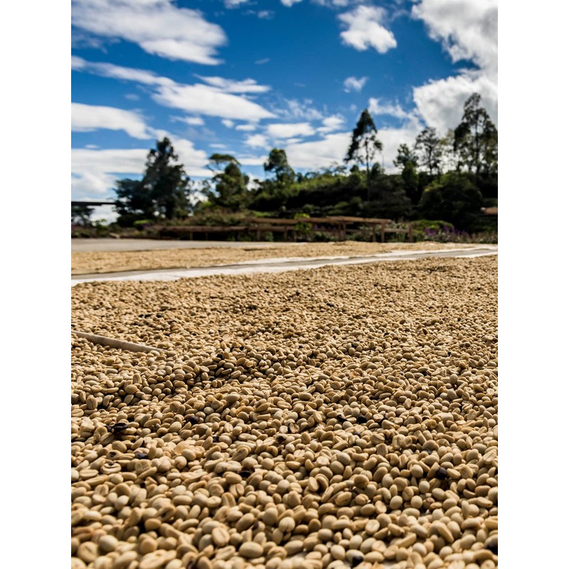 Shogun Coffee 30P Cup On, Soza Coffee, Drip Pack, Commercial