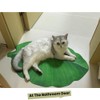 Uang Ku Bathroom Mat Leaf Shaped Water Absorbing Non-Slip Washable