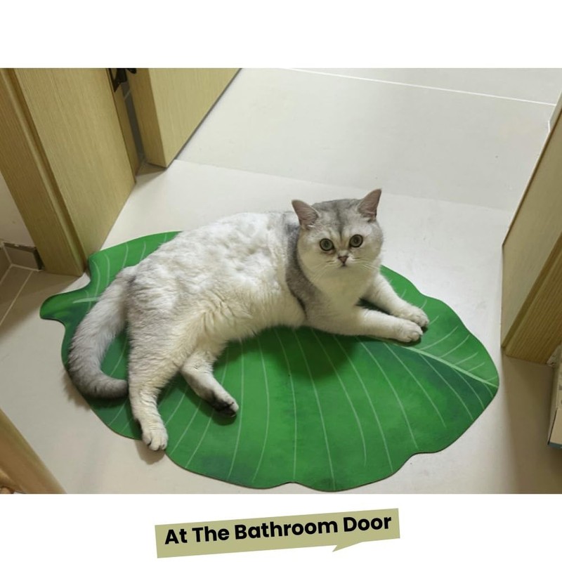Uang Ku Bathroom Mat Leaf Shaped Water Absorbing Non-Slip Washable