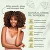 Roselle Naturals Chadian Hair Oil for Hair Growth 8 Fl