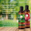 VIDA SCENTS | Aceite Esencial Para Masaje Aromatherapy De 60ml