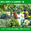 Raku Nourakusha Enchanting Strap "Anything Tsukaeru" (50 Pieces) Repeat Tie,