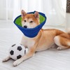 kissral Collar for Dogs, Adjustable Protective Collar, Lightweight Cone Collars,