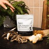  Super Mushroom Daily Gummies® by Auri Nutrition – 7