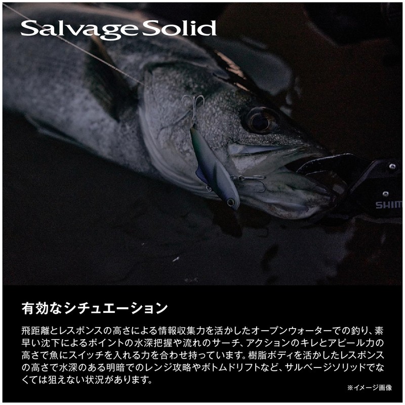 Shimano Exsense Salvage Solid 70ES 018 Tourin Iwashi