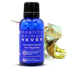 HealthyAnimals4Ever Hydration Boost for Reptiles - Natural Formula for Moisture Balance, Skin Vitality & Energy Support - Ideal for Low-Humidity Environments - 300 Count