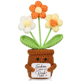 WenmthG Thank You Gifts Knitted Multicoloured Bouquet Lucky Charm Positive Potato German Replacement for Friends Colleagues Parents Knitted Flowers Artificial Flowers Thank You Gifts Small