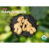 Fresh Organic Ginger Root – Premium, Natural, and Versatile with